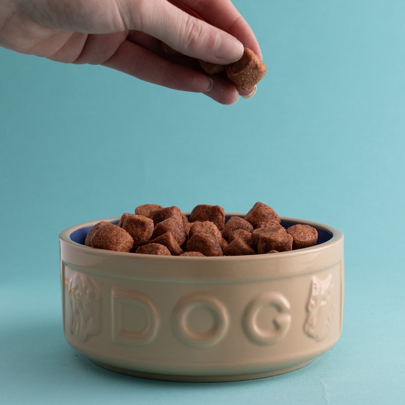 Mason Cash Μπολ Φαγητού Κατοικίδιων Ανάγλυφο Stoneware Τερακότα-Μπλε Dog 0,4L-13x5,5εκ Mason Cash Μπολ Φαγητού Κατοικίδιων Ανάγλυφο Stoneware Τερακότα-Μπλε Dog 0,4L-13x5,5εκ