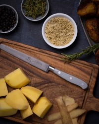 ΠΛΑΤΩ ΣΕΡΒΙΡΙΣΜΑΤΟΣ