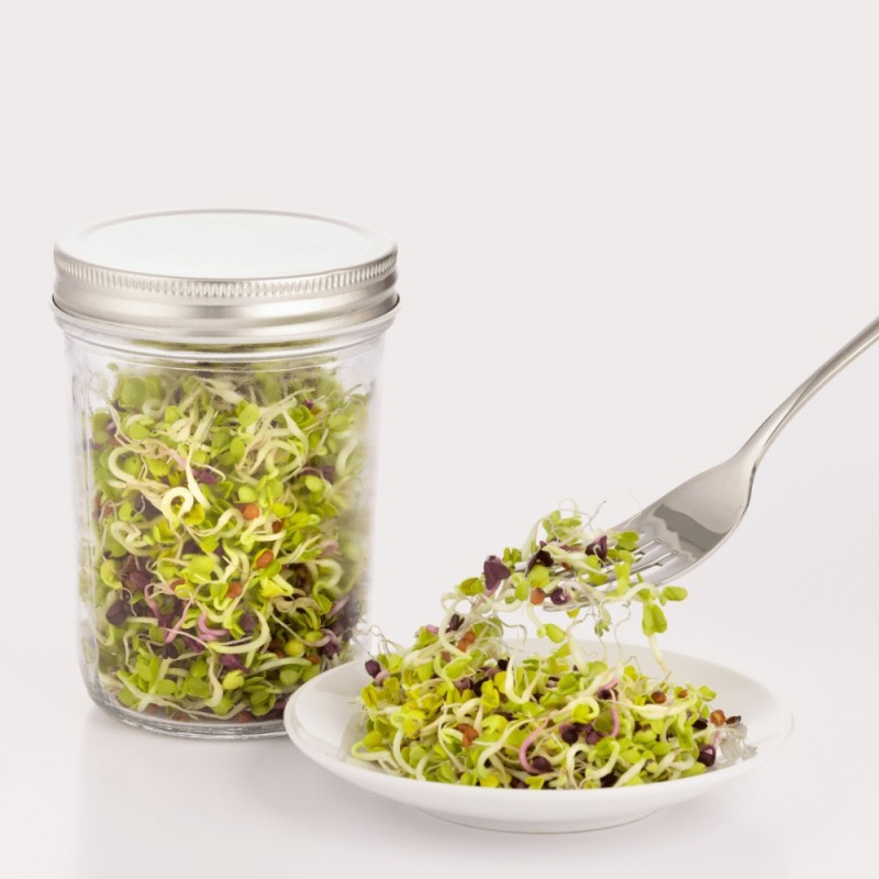 Kilner Σετ Φύτρωσης Σπόρων (Sprouting)Γυαλί-Κεραμικό0,5l, 11,5x11,5x20εκ
