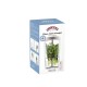 Kilner Βάζο Συντήρησης Βοτάνων και Μυρωδικών 1L,10x10x20εκ
