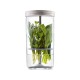 Kilner Βάζο Συντήρησης Βοτάνων και Μυρωδικών 1L,10x10x20εκ