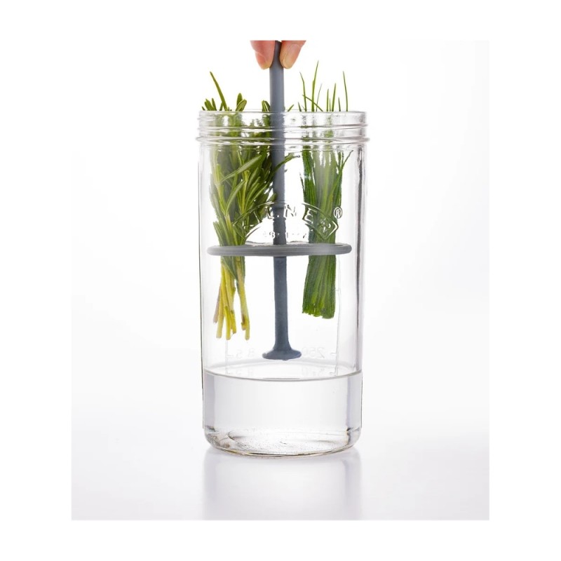 Kilner Βάζο Συντήρησης Βοτάνων και Μυρωδικών 1L,10x10x20εκ