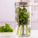 Kilner Βάζο Συντήρησης Βοτάνων και Μυρωδικών 1L,10x10x20εκ